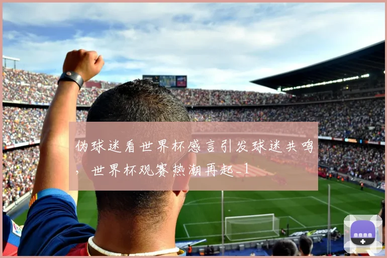 伪球迷看世界杯感言引发球迷共鸣,世界杯观赛热潮再起_1