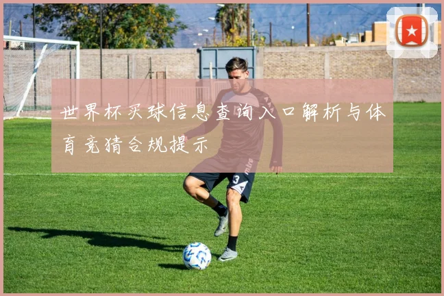 世界杯买球信息查询入口解析与体育竞猜合规提示