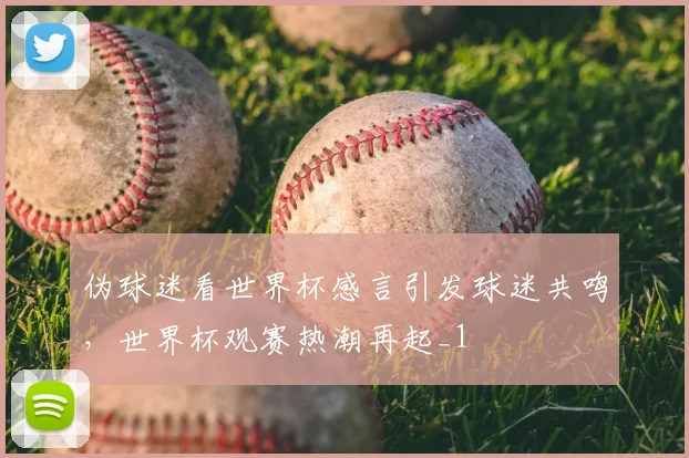 伪球迷看世界杯感言引发球迷共鸣,世界杯观赛热潮再起_1