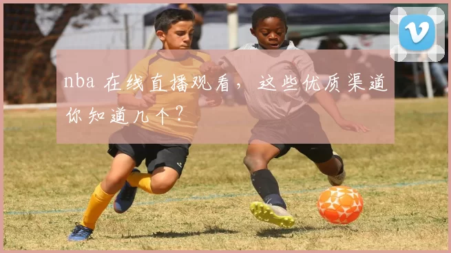 nba 在线直播观看，这些优质渠道你知道几个？