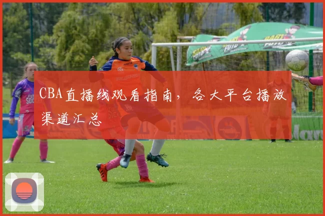 CBA直播线观看指南,各大平台播放渠道汇总