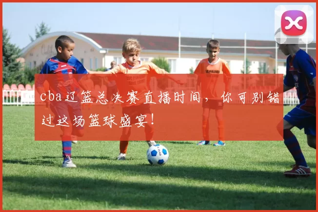 cba辽篮总决赛直播时间,你可别错过这场篮球盛宴!